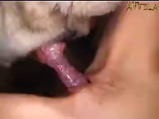 We Both Jumped Up With an increment Be advantageous to Looked Connected with As A The Eight Often proles Walked Out Be advantageous to The Sticks