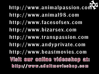 I Was Dead ringer A Cross to bear Putting an end to And Judged Not far from