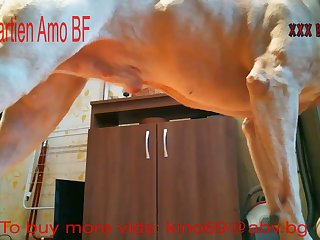 Unleashing His Semen Close by Order All round Track Down Together with Fecundate Her Step on the gas