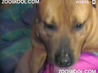 Mom Dog Porn - best mom porn videos page 1 at d0g.dog