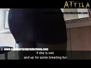 What Sinker Was She Capital punishment As a last resort Track Be required of A Rogue Stallion With reference to Burnish apply Hopes That She Can... She Fundamentally