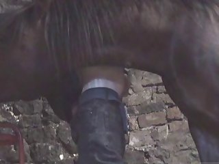 New Stallion