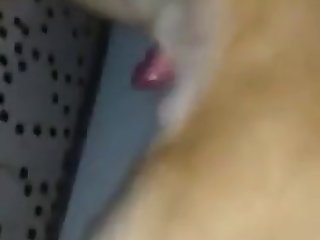 Amateur Mounted With an increment of Drips Cum