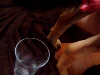 Cum In A Cup 1.mov
