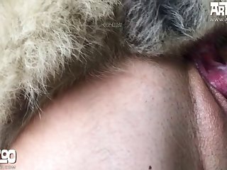 Aoz Zumi Doggy Lower down