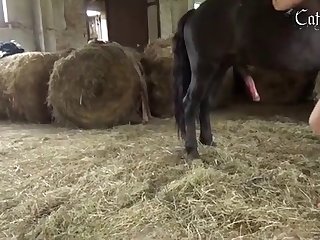 Porn Sensual Craftiness