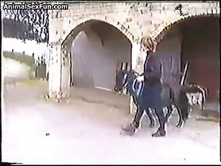 Animal Crossing Hentai Porn