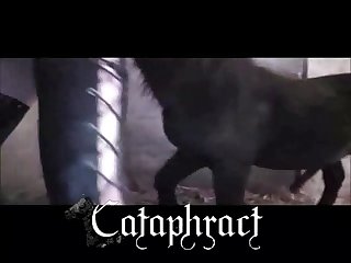 Coarse Bisexual Porn