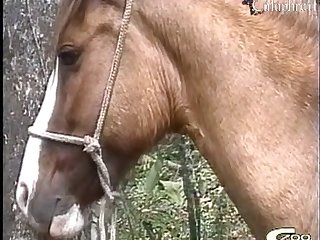Girl Sex Involving Beast Porn