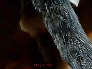 Yu Crossing Gross Porn