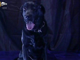 Avant-garde Teen Carnal Porn