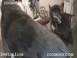 Kostenlos Zoo Sexual congress