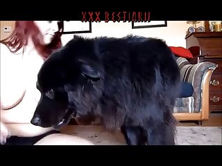 Monster Porn Zoo