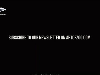 Oso Zoofilia