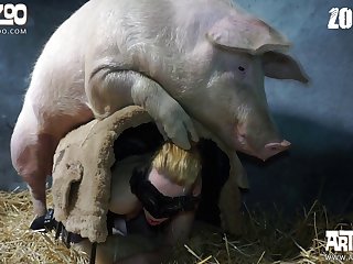 Pipoquinha Zoofilia
