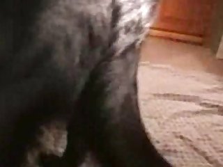 Porn Extremist Painful