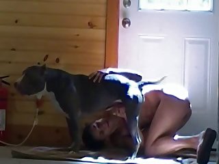 Innovative Cowgirl Porn