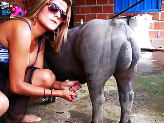 Free Progressive Unrefined Porn Videos