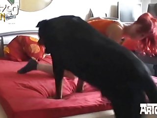 Extreme Janine Porn