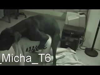 Ground-breaking Lesbian Porn Compilation