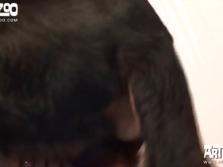 Horse around Extreme Porn