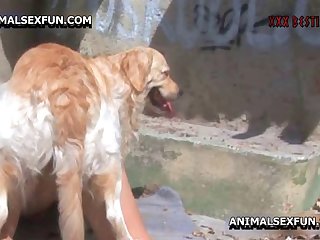 Extreme Pain Bdsm Porn