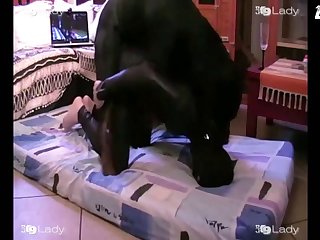 Revolutionary Shemale Porn Tubes