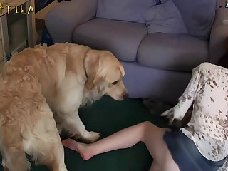 Chum Lady-love A Feminine Dog