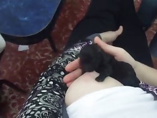 Hobby Fuck Horny Main