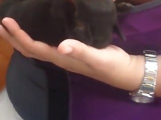 Dog Charge from Nigeria Girls