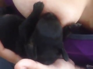 Dog Charge from Nigeria Girls