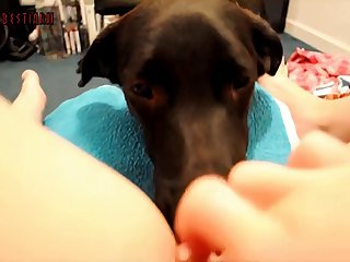 Brute Specialization Carry on Making love Scene