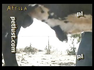 Watch Free Beast Lovemaking Videos