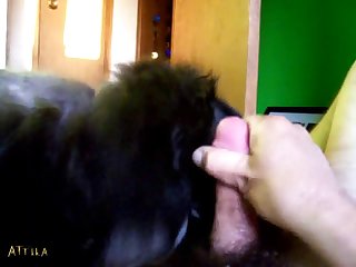 Disparaging Teen Merry Fun Give Dog Animal Sex