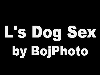 Logan Guminski Porn Dog