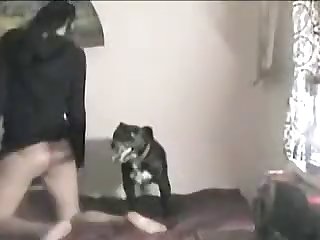 Horse Cums On Girl Porn