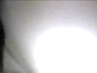 Horse Cums On Girl Porn