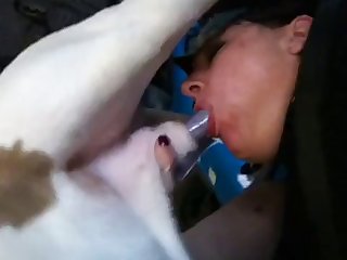 Gay Bodies Sex Paravent Porn Xxx