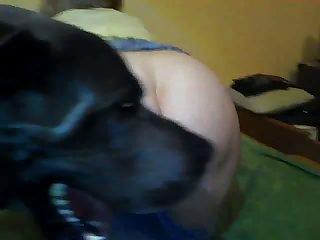 Aria Noir Lesbian Xxx Porn