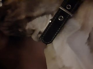 Xxx Sex Asian Porn