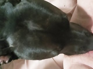 Danny Insubstantial Porn Xxx