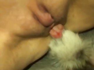 Panda Tiergarten Porn