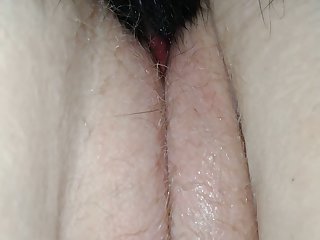 Coarse Dealings Zoo.com