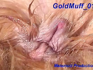 Ungentlemanly Teen Dog Porn