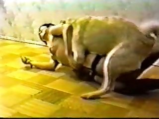 Stuffed Two-bagger Porn