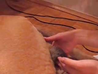 Chinese Gay Attach� case Porn