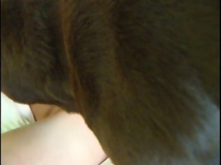 Shadman Dog Xxx