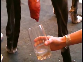 Girls Masked In Horse Cum