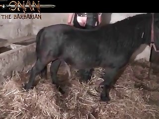 Tall Thin Animal Porn with Redhead Anal Creampie