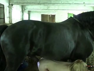 Hairy Animal Porn with Maid W Big Soft Boobs, Free Porn: 18